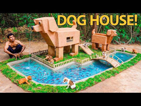 Building Dog Shaped Houses for Rescue Puppies – They Love It!
