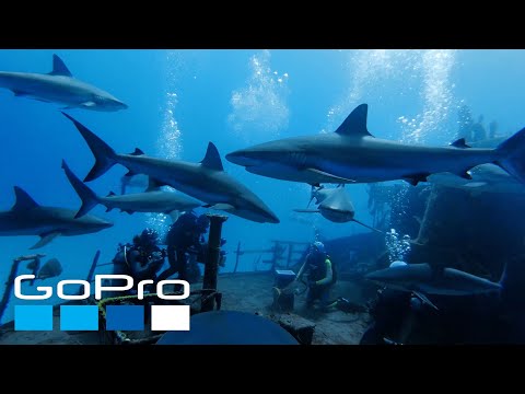 GoPro: Top 10 Underwater Moments