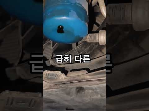 엔진오일 갈았다고 거짓말 친 정비소