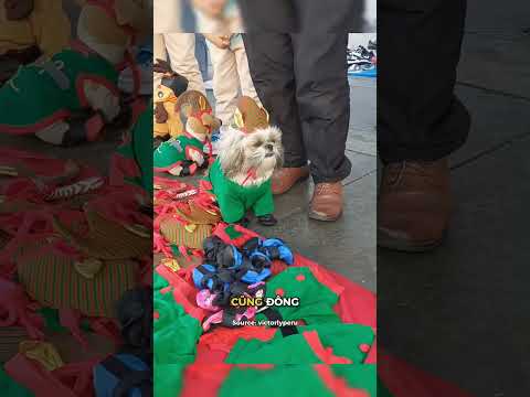 Phụ chủ bán hàng