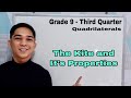 Properties and Measurements of Kites