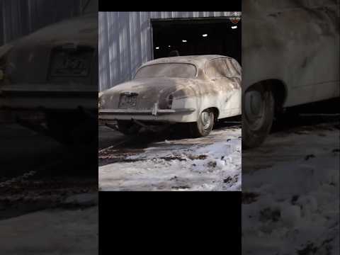 Abandoned Jaguar Pulled From Barn & Detailed after Decades! ๐๐งผ #barnfind #detaildane #satisfying