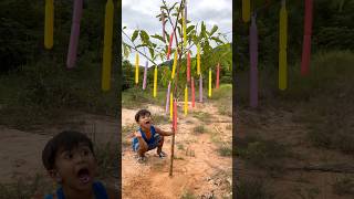 Wow! SMART idea and USEFUL with single mom in forest #outdoors #survival #bushcraft #camping #useful