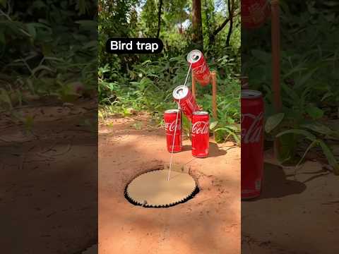 অসাধারণ বুদ্ধি 🤣🤣 #funny #shorts #funnyshorts #youtube #viral #viralshorts #viralvideo #trending