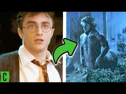 Harry Potter Magical Creatures We Wish We Saw More Of