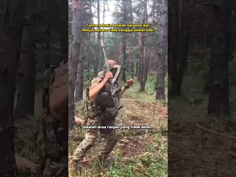 Ketika Tentara Rusia Selamat dari ranjau karena Seekor Babi.