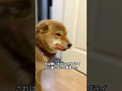 ソーセージがあれば幸せ