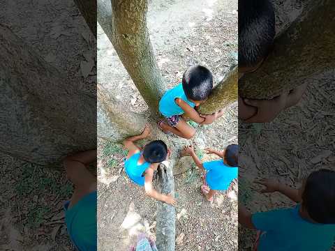 আজ তেতুঁল মাখা খেলাম#bengalivlog#minivlog#shorts