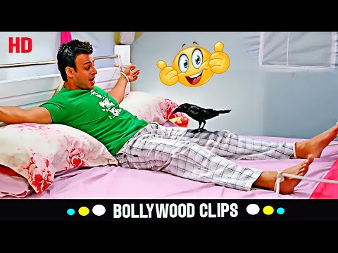 यहाँ पर "चोट नहीं, कौवे ने किया भारी बिस्फोट?😂 | Vivek Oberoi की कॉमेडी क्लास | Grand Masti Comedy