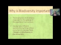 Biodiversity and Ecosystem Resilience