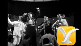 Carmen Ruiz y los Diamantes del Sol - Por no Decirte que Te Amo - Festival de Viña del Mar 1973
