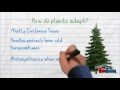 Exploring Taiga Ecosystem Adaptations