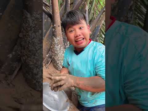 Bắt Ốc Đỏ | Sinl Food #shorts