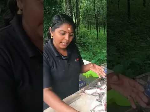 മീൻകാരി സെലിൻ എന്ന് അറിയപെടണം | shorts #short #fishinglife