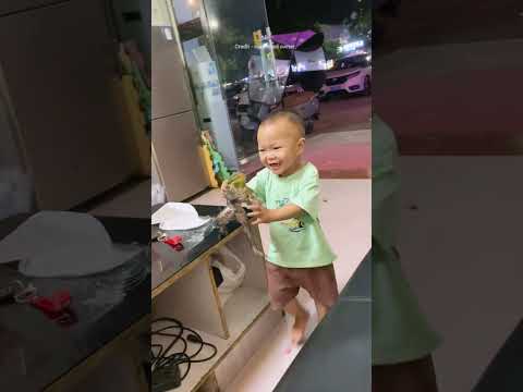 Boy surprises aunty with frog prank while laughing non-stop