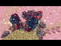 ATP Production and Molecular Motors