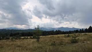 Българска красота