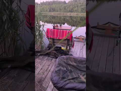 Когда приехал на рыбалку