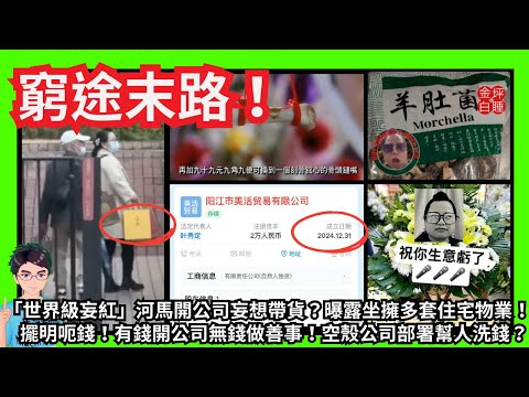 窮途末路！「世界級妄紅」河馬開公司變「葉總」妄想帶貨？曝露坐擁多套住宅物業！被收公屋指日可待！擺明呃錢！有錢開公司無錢做善事！空殼公司部署幫人洗錢？停權七日妄想捲土重來！｜食神都無咁狼！｜甄妮何伯何太