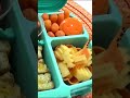 Orange-Themed Meal Questions