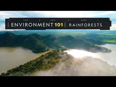 101環境教室：雨林《國家地理》雜誌 - YouTube(3:36)