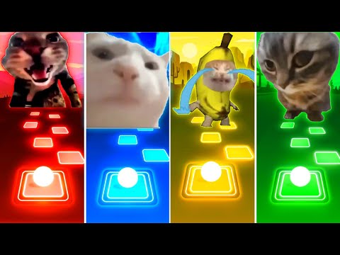 Doorbell Cat vs Vibing Cat vs Banana Cat vs Chipi Chipi Chapa Chapa Cat - Tiles Hop EDM Rush