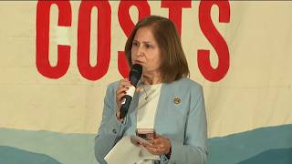 YouTube video thumbnail: Virginia Lt. Gov. Launches Listening Tour as Possible Dominion Energy Merger Looms 