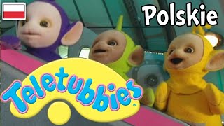 Teletubisie Po Polsku - 111 DOBRA JAKOŚĆ (Pełny odcinek)