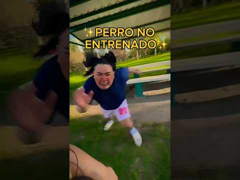 PERRO ENTRENADO vs PERRO NO ENTRENADO #shorts