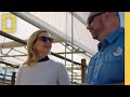 Sustainability Initiatives at Walt Disney World Resort