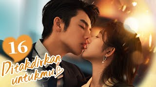 [Indo Sub] Ditakdirkan untukmu (Old Rare You) EP16 | Gadis cantik incaran bos? | 命中注定稀罕你 | YoYo