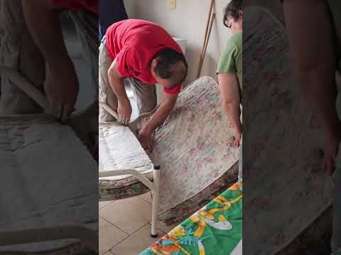 Con chó sắp qua đời