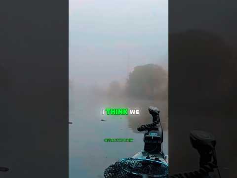 FISHERMAN FINDS A BODY 😳😳 #shorts #trending