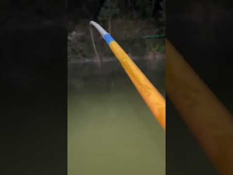 Câu đêm #fishing #caucagiaitri #cauca