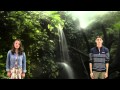 Ecosystems and Food Chains Concepts