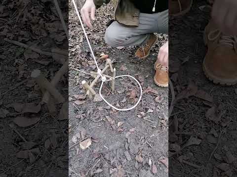 trap#bushcraft #trap #survival
