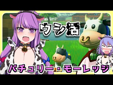 【ゆっくり実況】マリオカートワールド part1 とにかく走る！ゆっくり地霊殿魔理沙組！　パチュリー・モーレッジ再び
