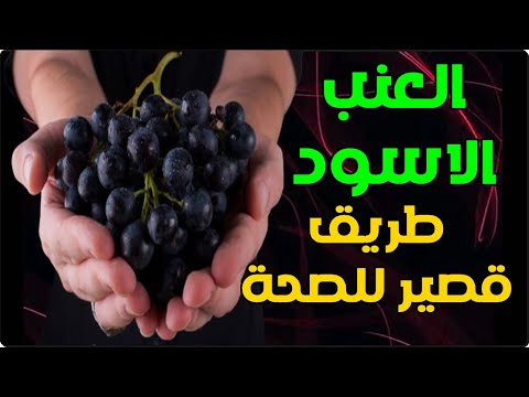 فوائد العنب الأسود سوف تفاجئك - تناول العنب الاسود طريق قصير للصحة