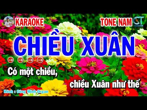 Karaoke Chiều Xuân Tone Nam Nhạc Xuân 2025