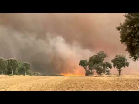 YouTube video thumbnail: Wildfires Fanned by Heatwave Rage Across Europe, Forcing Evacuations