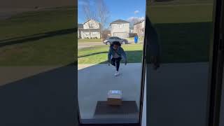 What happened to this Porch Pirate