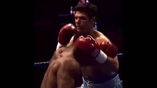 Майк Тайсон💪#boxing #shorts #sports #бокс #спорт