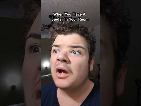 When You Have A Spider In Your Room #Shorts