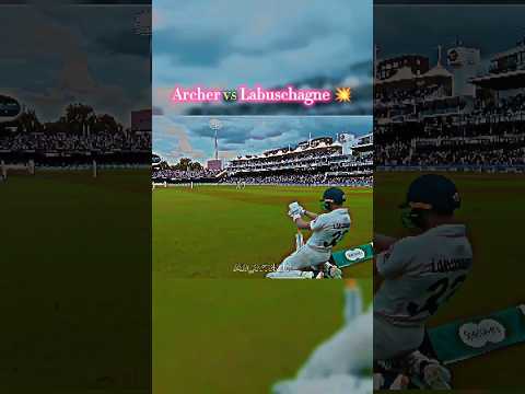 Archer vs Labuschagne 🥵 #shorts #shortvideo #shortsfeed #cricket #jofraarcher #marnuslabuschagne