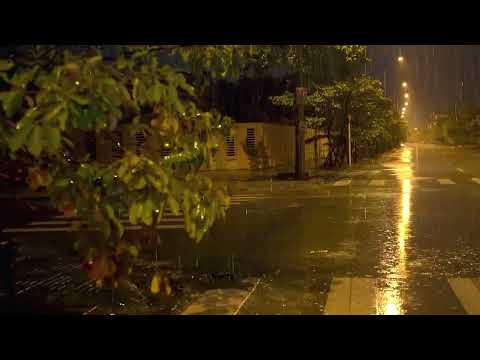 밤에 불면증을 해소 해줄 폭우 소리, 깊은 잠을 위한 비오는소리 백색소음, 빗소리 ASMR, 잠 잘 오는 빗소리