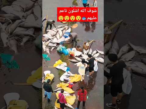 سبحان الله ??#اشترك_بالقناة_China# Subscribe please