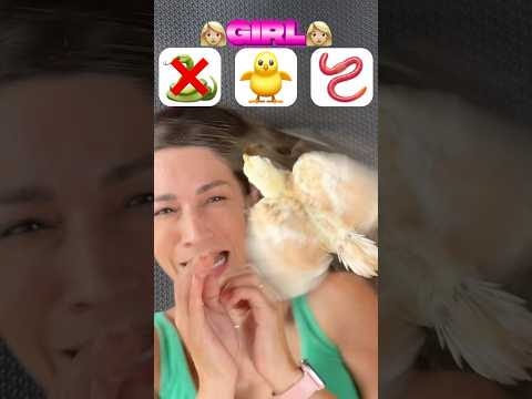 Quem vai assustar com os animais menina ou menino?!😱 #shorts #challenge