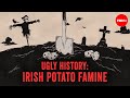 Irish Potato Famine: Causes and Consequences