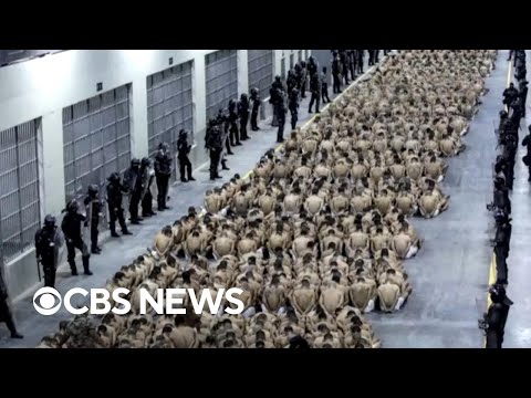 YouTube video thumbnail: Venezuelan man Deported to Cecot Prison Sues U.S. for $1.3 Million in Damages