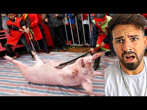 LOS TRABAJADORES MAS RÁPIDOS DEL MUNDO !!
